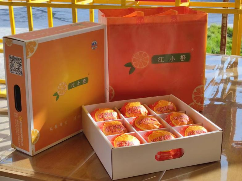 全新高端柑桔新品—江小橙:柑桔中的愛馬仕.png